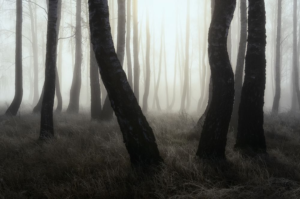 Photograph by Сергей Дишук