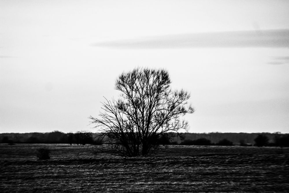 Photograph by Луценко Роман