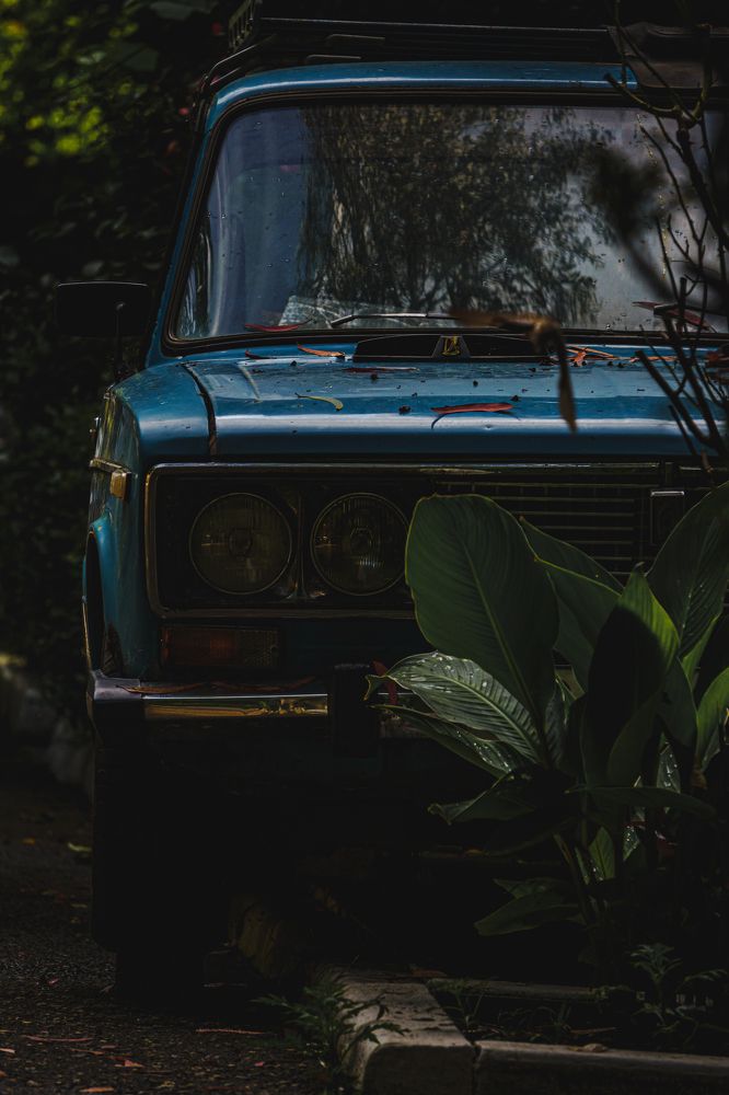 Photograph by Лилия Турдиева