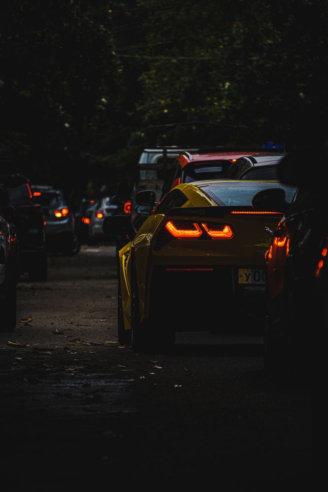 Photograph by Лилия Турдиева