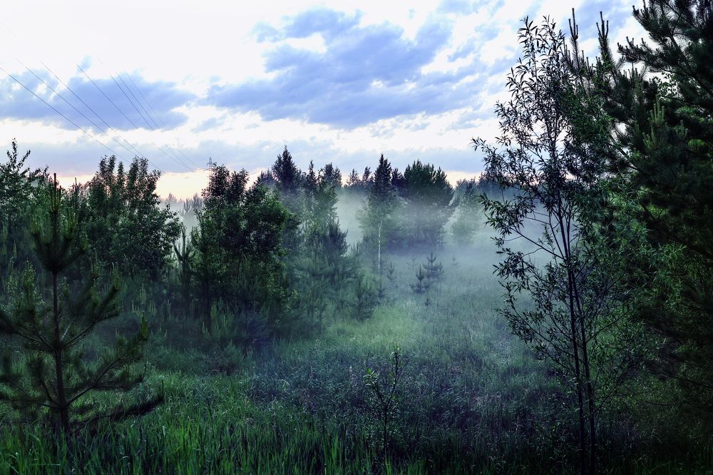 Фотография автора Галина Аверьянова