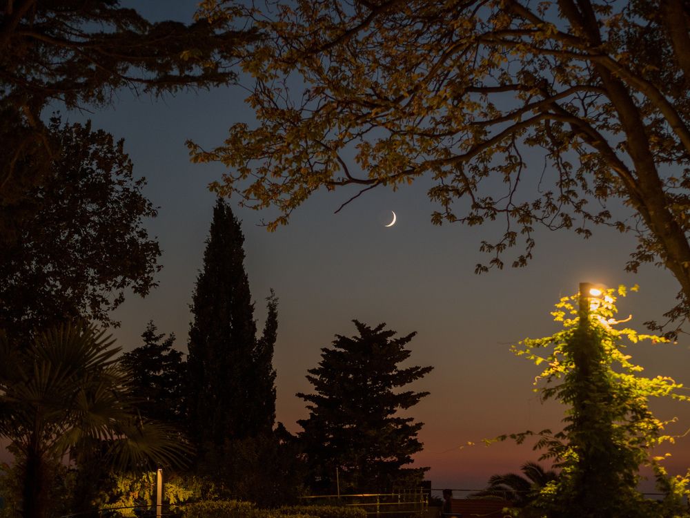 Photograph by Анна Шейко