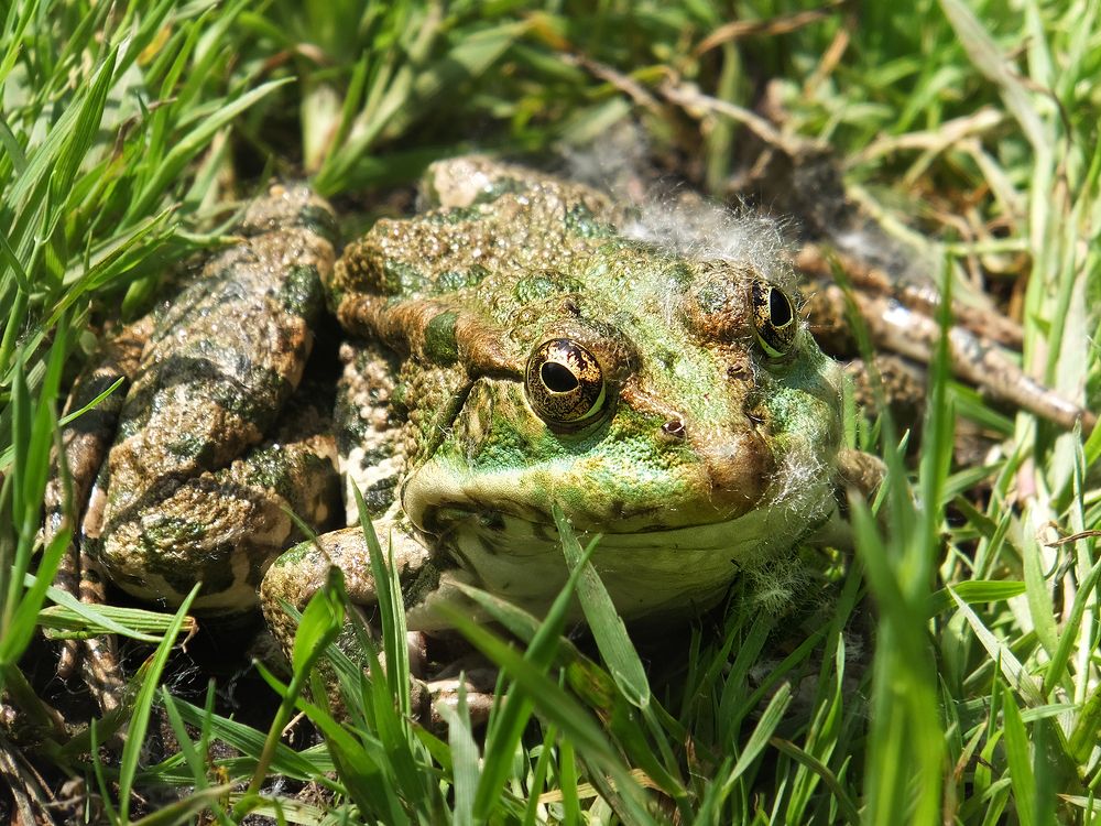 Photograph by Ольга Еремеева