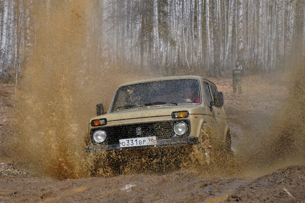 Photograph by Ольга Шуякова