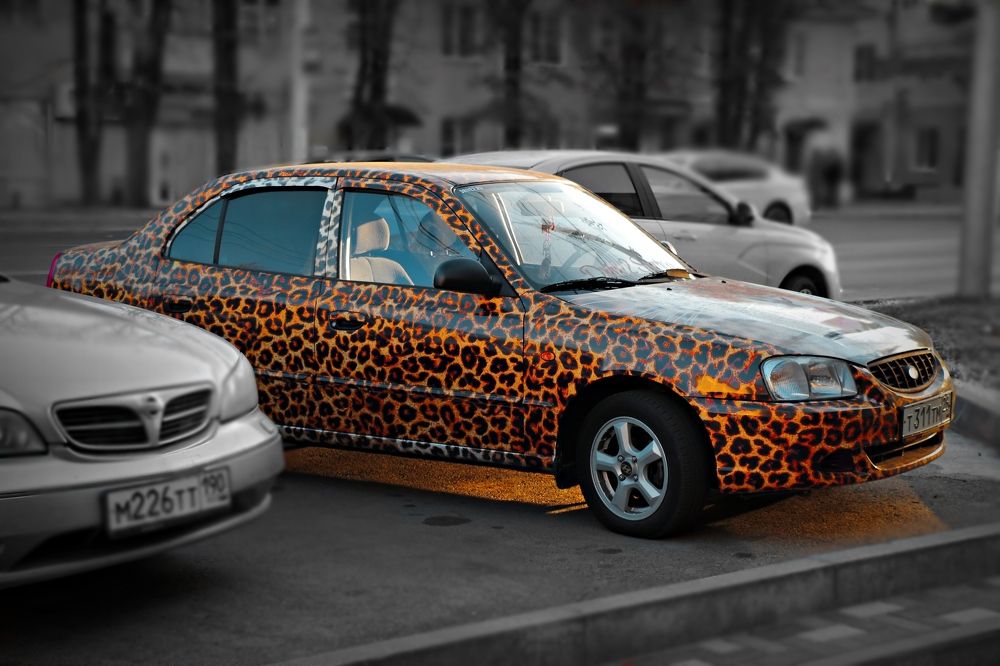 Photograph by Геннадий Натье (Игнатьев)