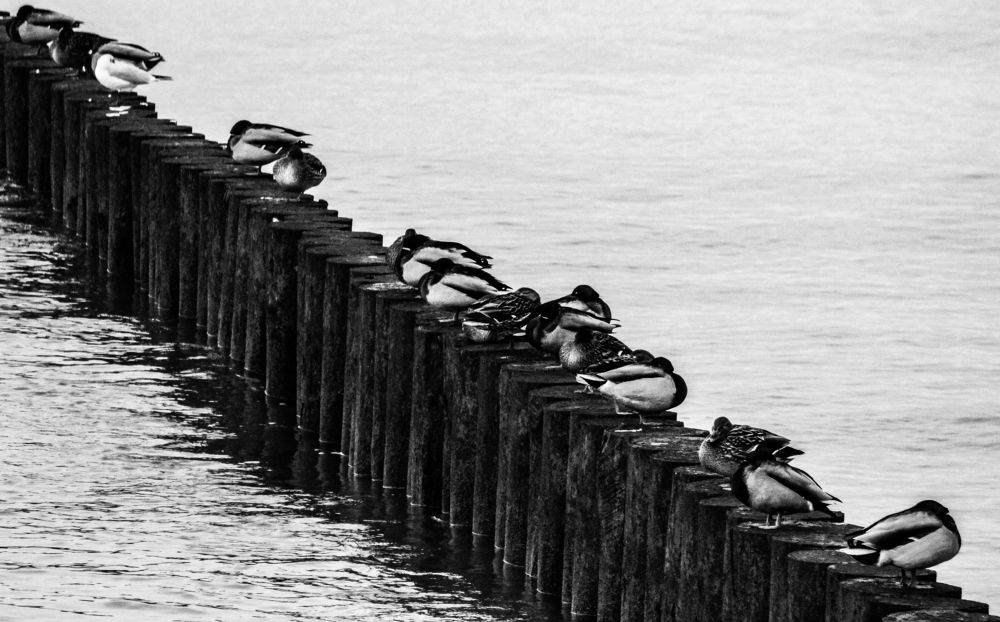 Photograph by Луценко Роман