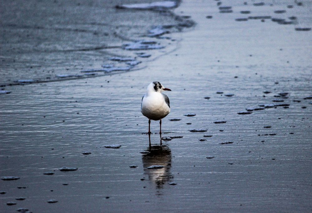 Photograph by Луценко Роман
