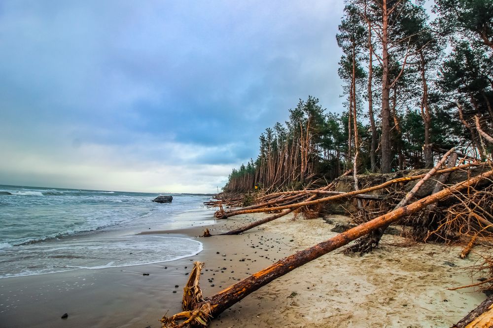 Photograph by Луценко Роман