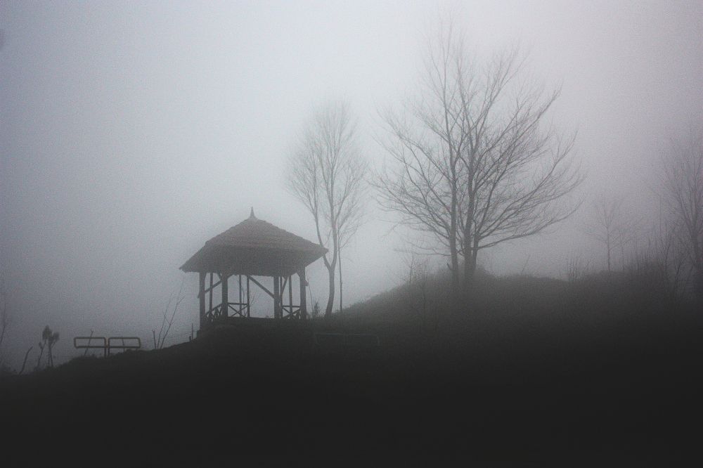 Photograph by tamaddon homayoun