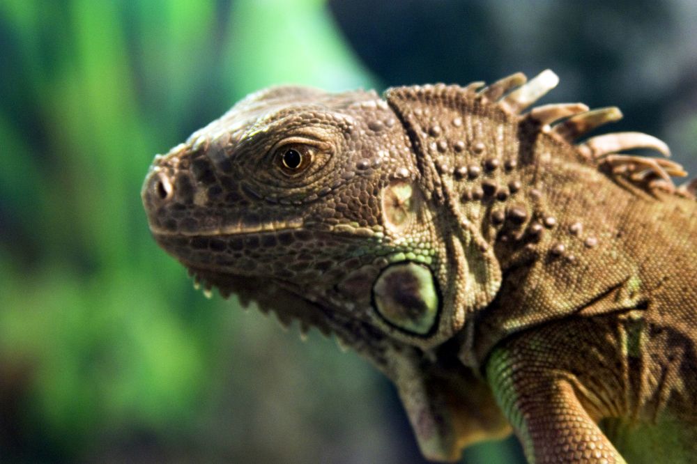 Photograph by Мария Самоловова