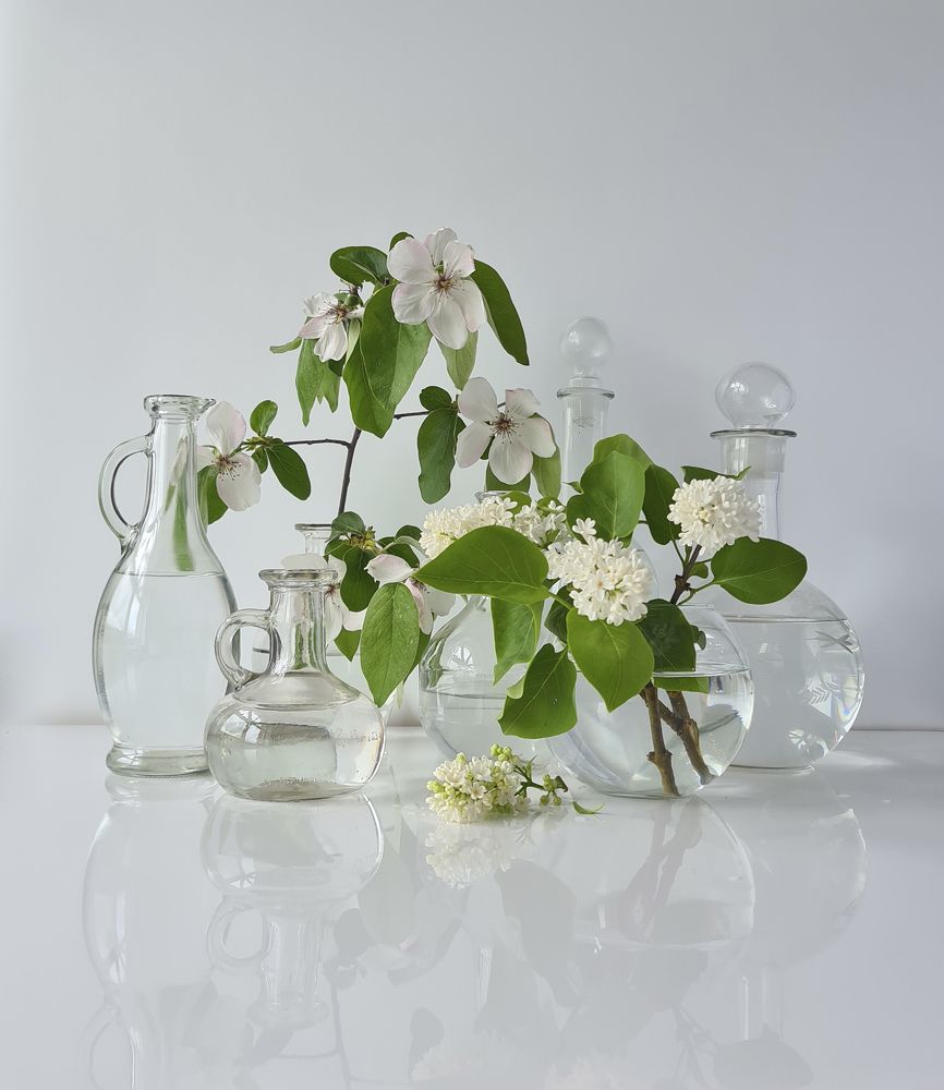 Photograph by Наталья Каплина