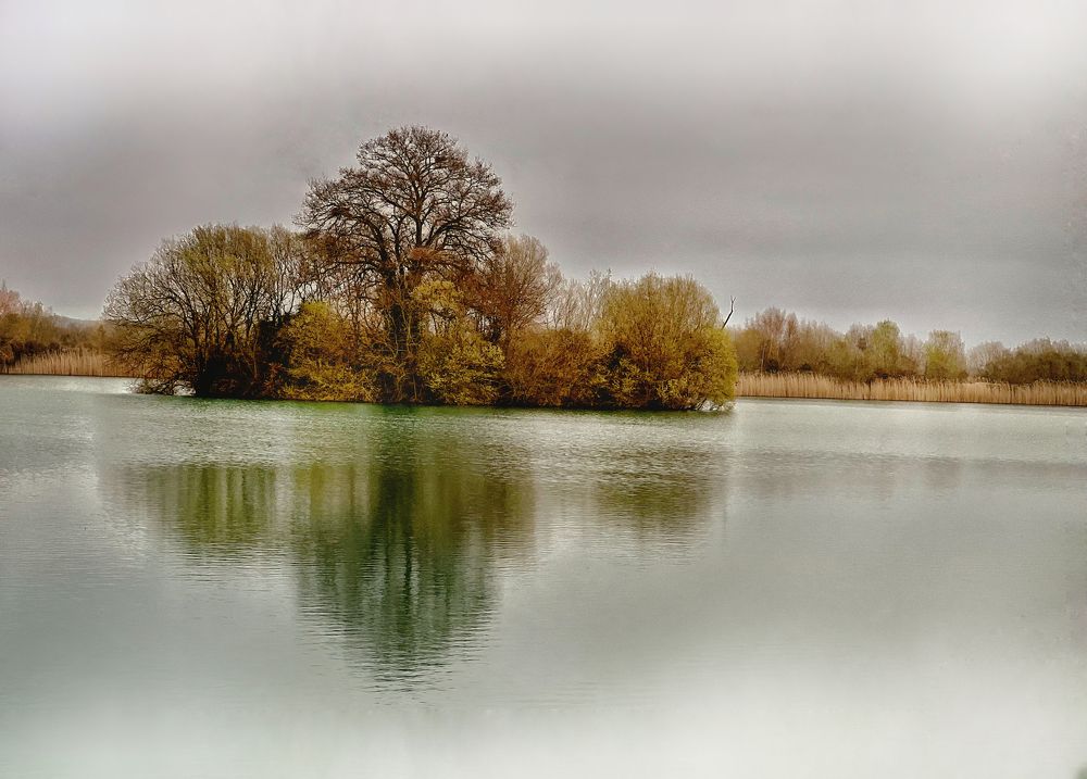 Photograph by Marisol Carrera Miguez