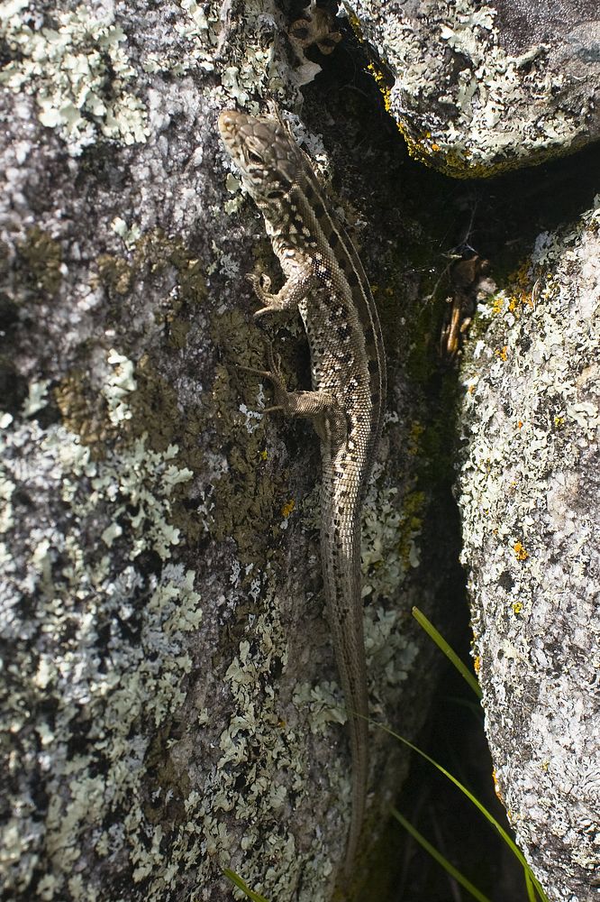 Photograph by Мария Самоловова