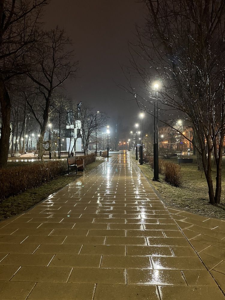 Дождливое утро