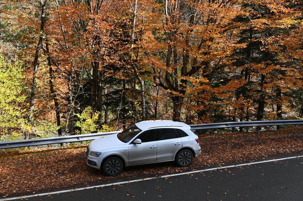 Photograph by Наталья Каплина