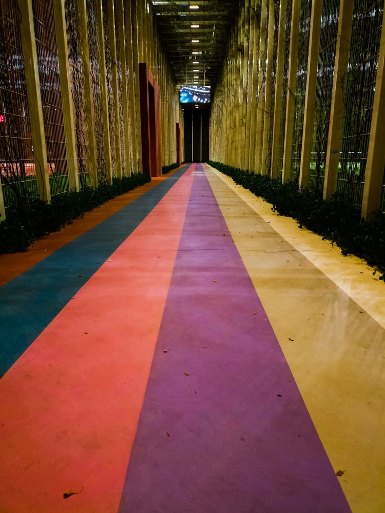 Photograph by Олег Башкуров