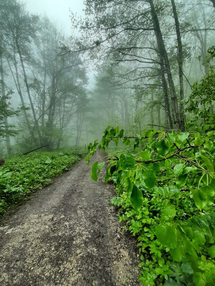 Фотография автора Наталья Гаврилова