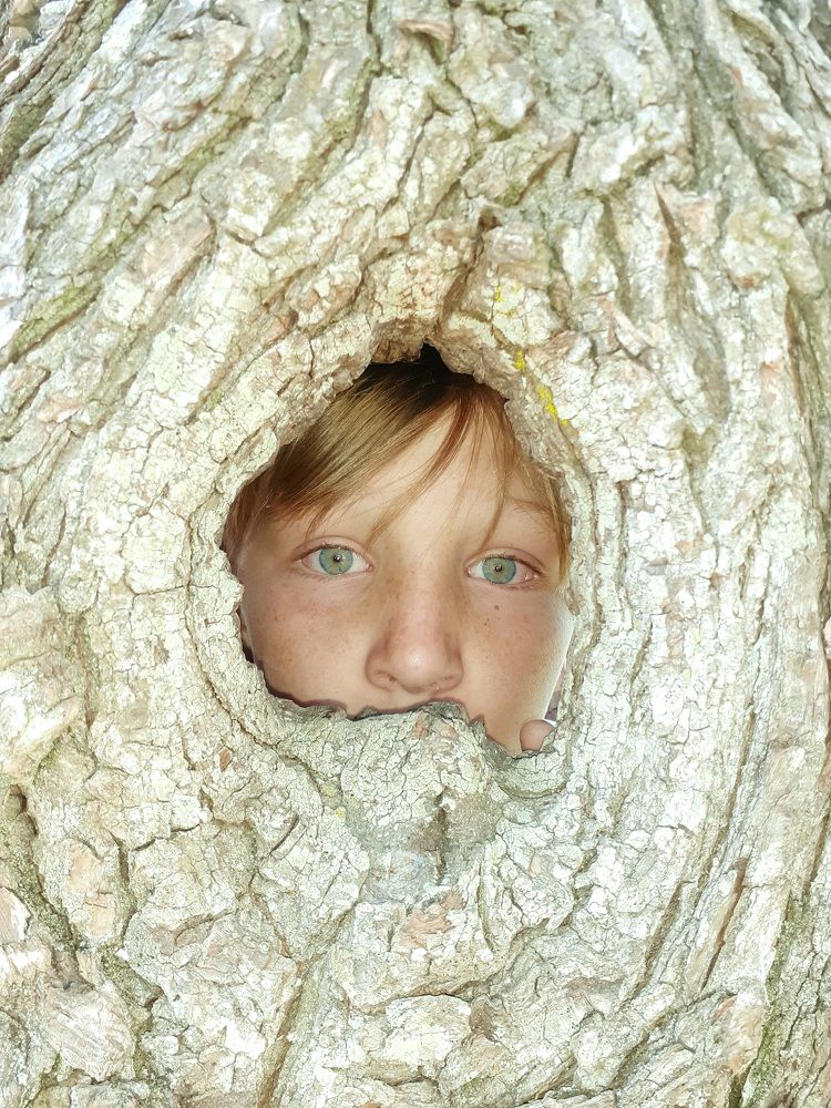 Photograph by Diego Proverbio de Freitas