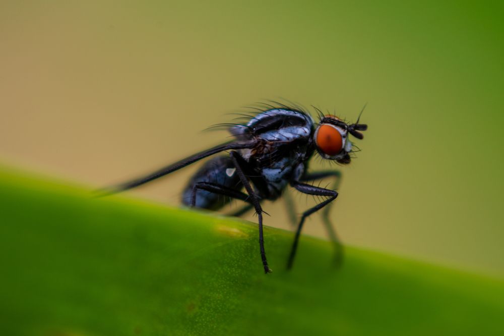 Фотография автора Jose Marcos Carvajal Tarazona