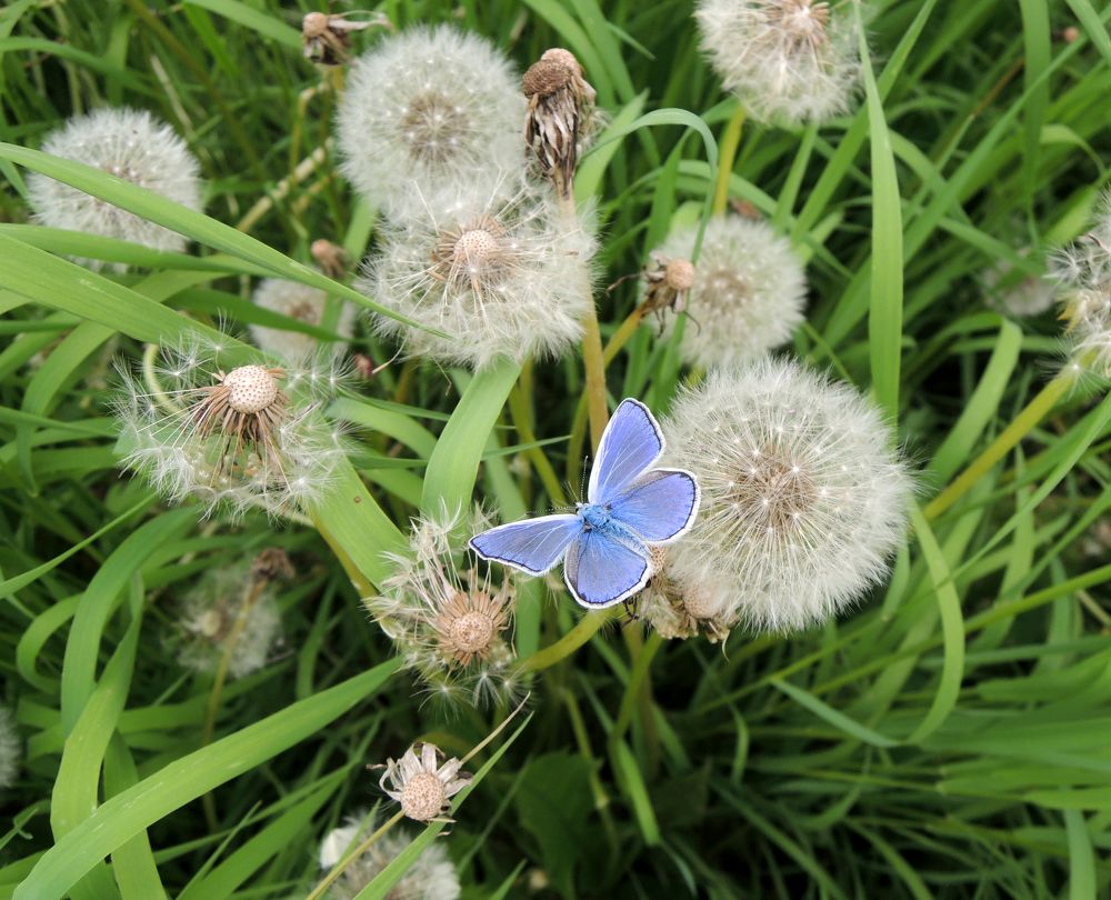 Photograph by Юлия