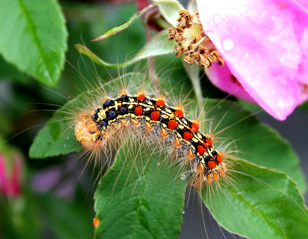 Photograph by Юлия