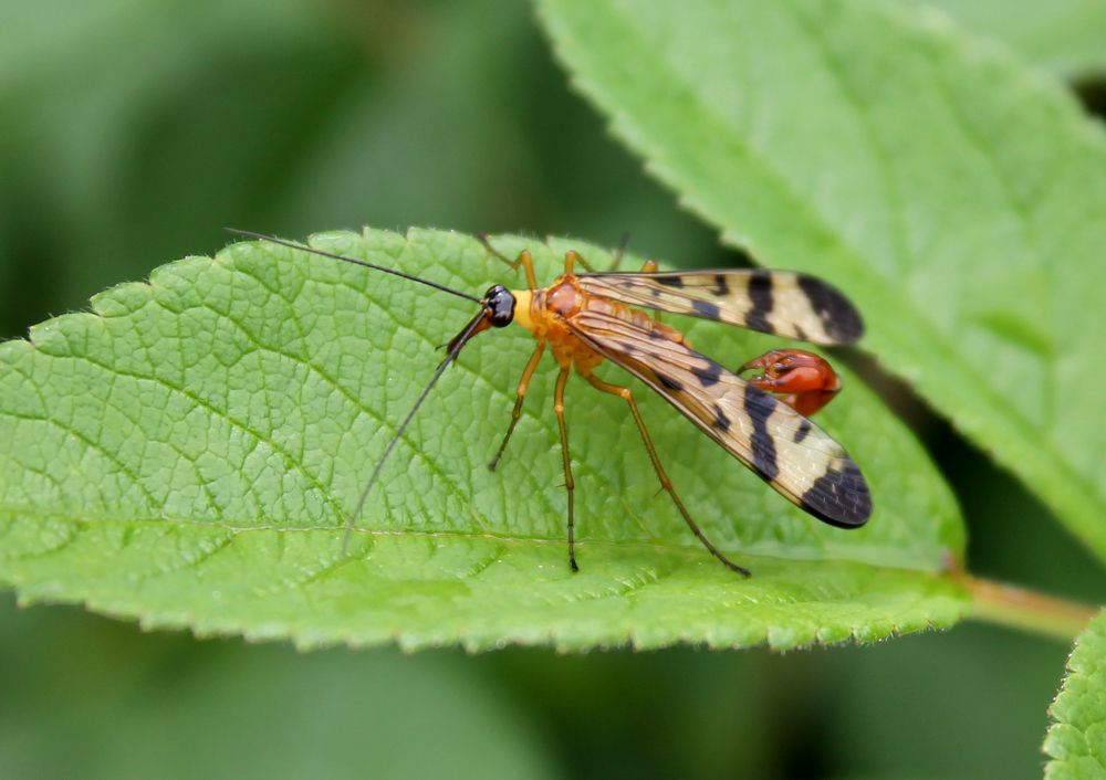 Photograph by Юлия