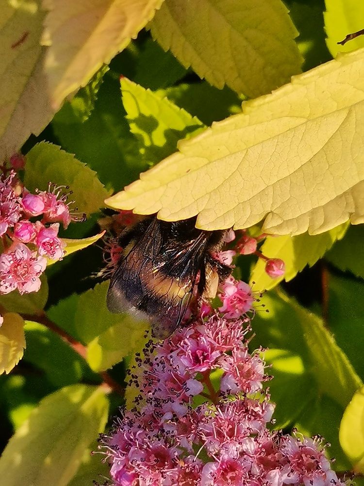 Photograph by Ольга Лукина