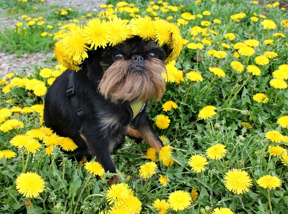 Photograph by Юлия