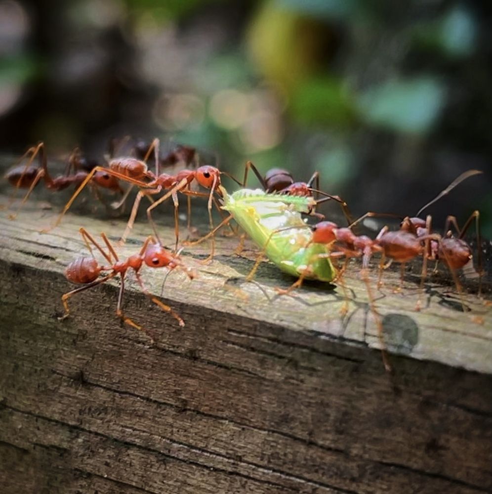 Photograph by Rosa Nazareth