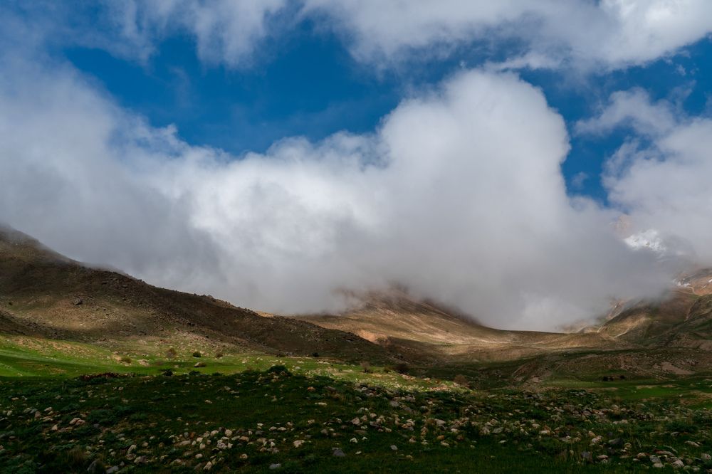 Photograph by Farshad Yazdankhah