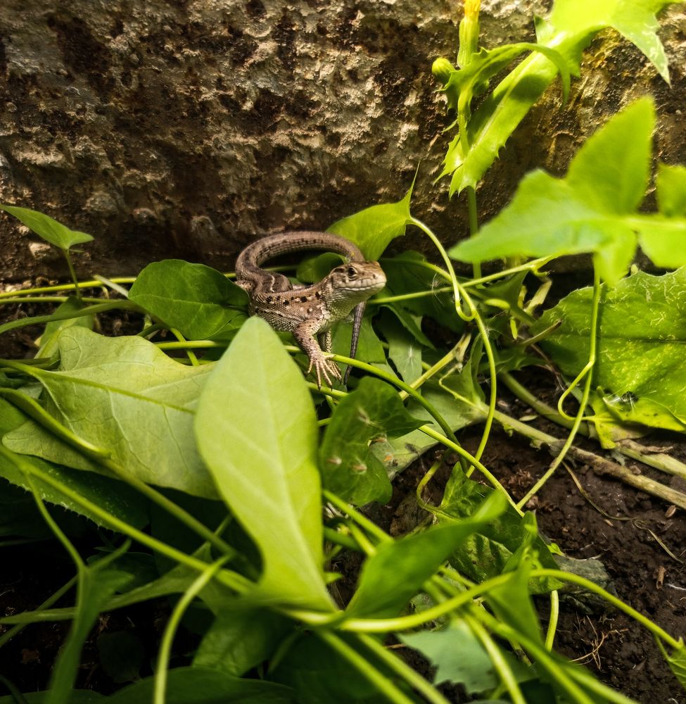 Photograph by Елизавета Мишина