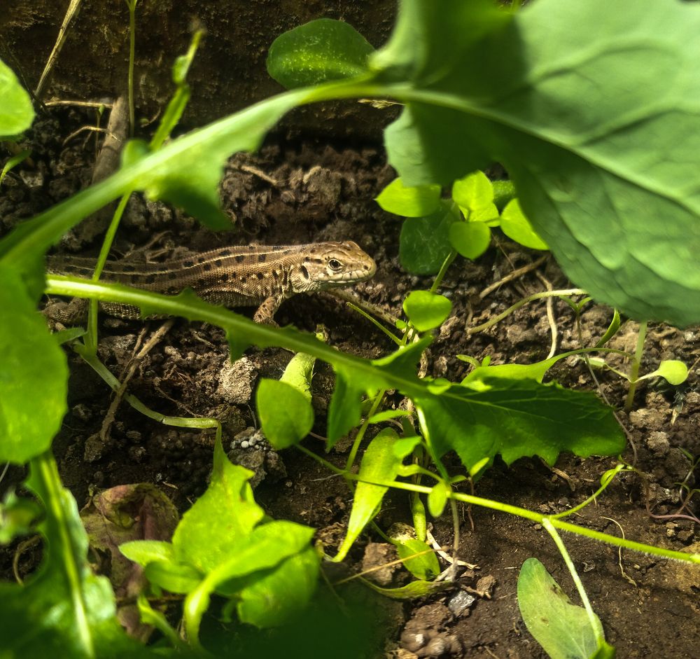 Photograph by Елизавета Мишина