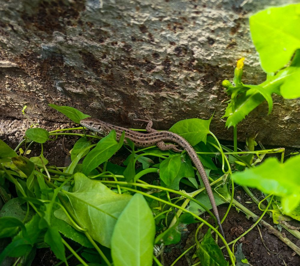 Photograph by Елизавета Мишина