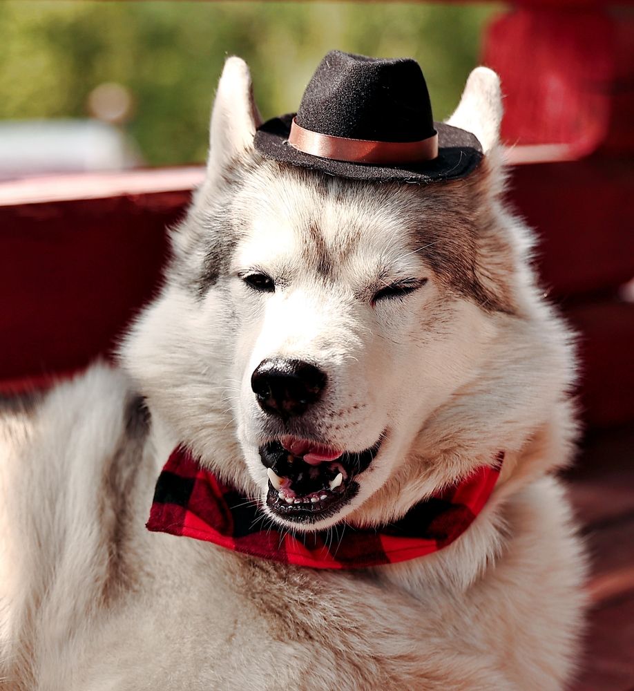 Photograph by Елена Одынец