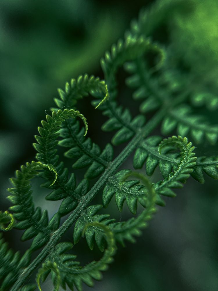 Photograph by Анастасия Еланцева