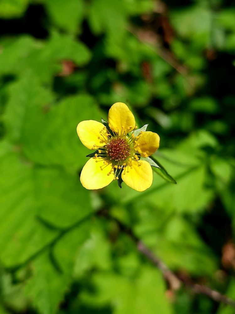 Photograph by Sonia Crotta