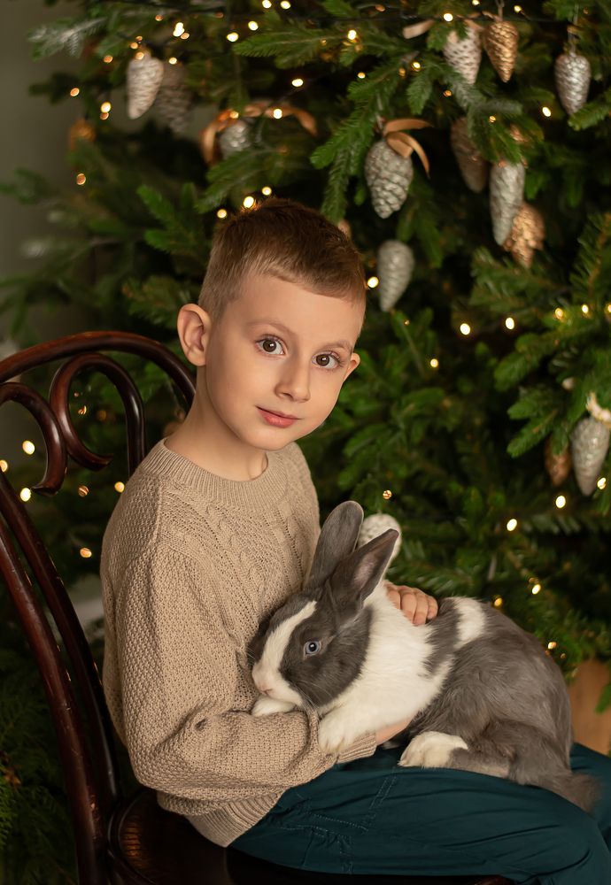 Новогодняя