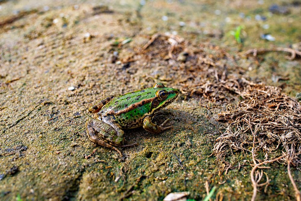 Photograph by Дзюба Нелли