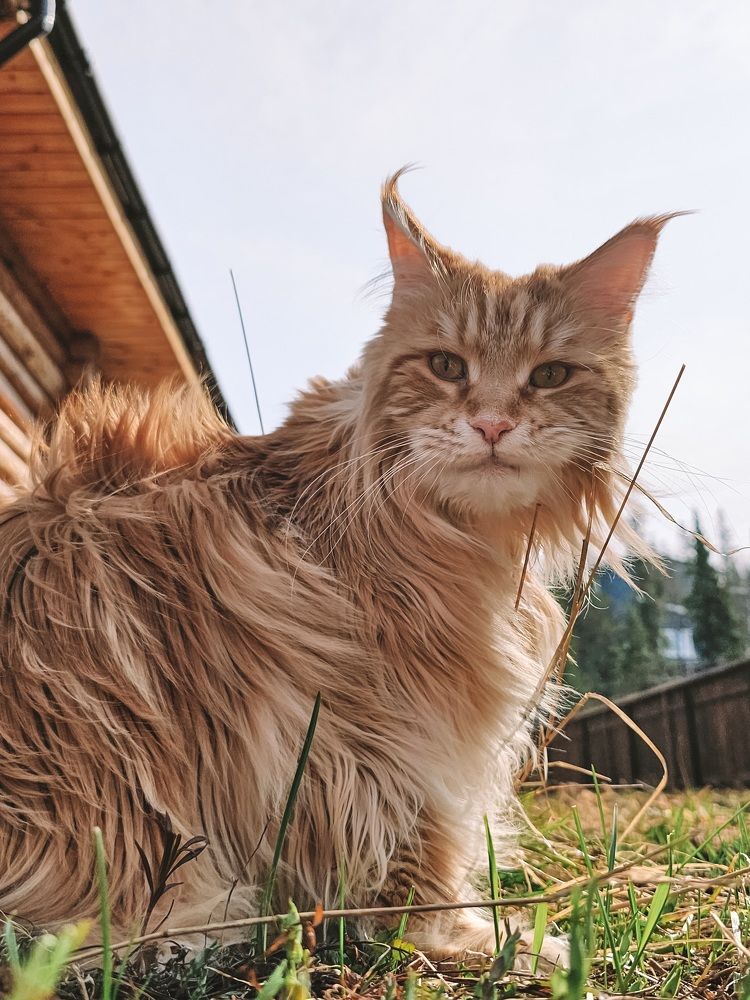 Photograph by Екатерина