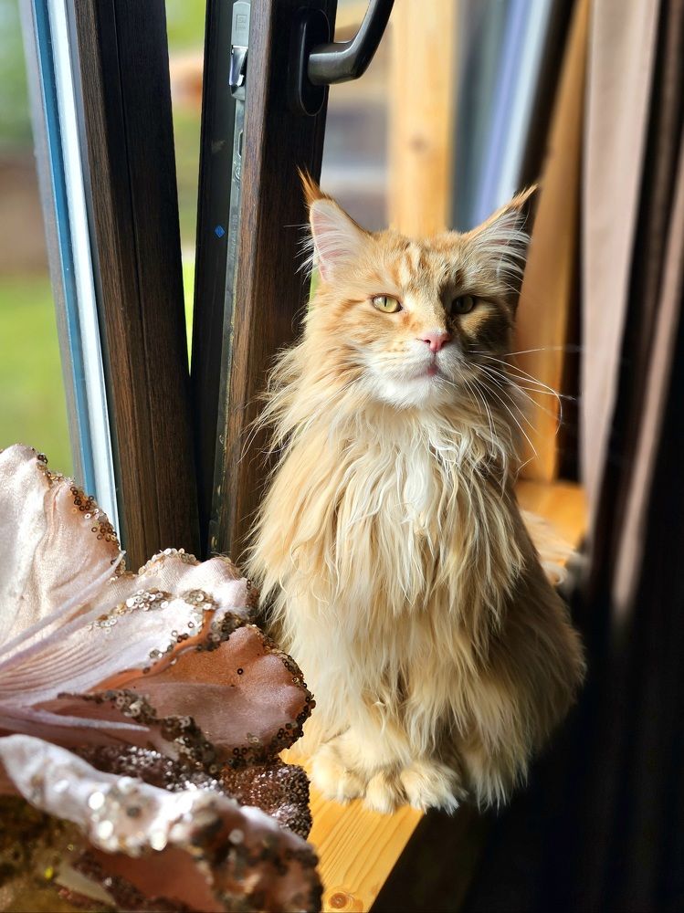 Photograph by Екатерина