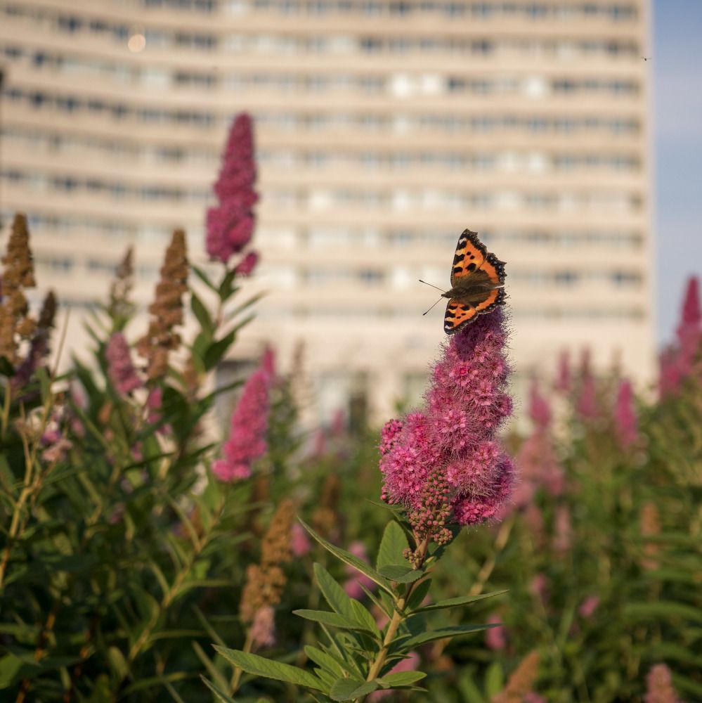 Photograph by Анна Шейко