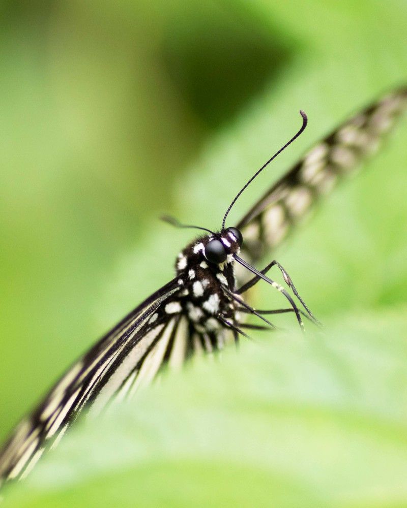 Photograph by GVN Santhosh