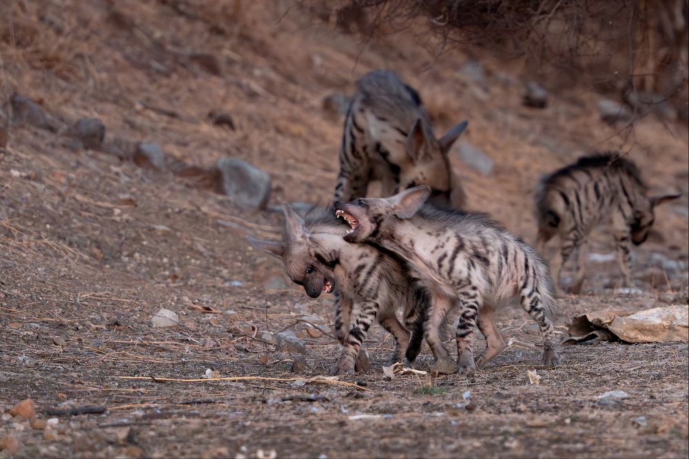 Photograph by Ramakant Kulkarni