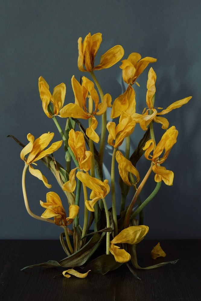 Photograph by Екатерина Долова