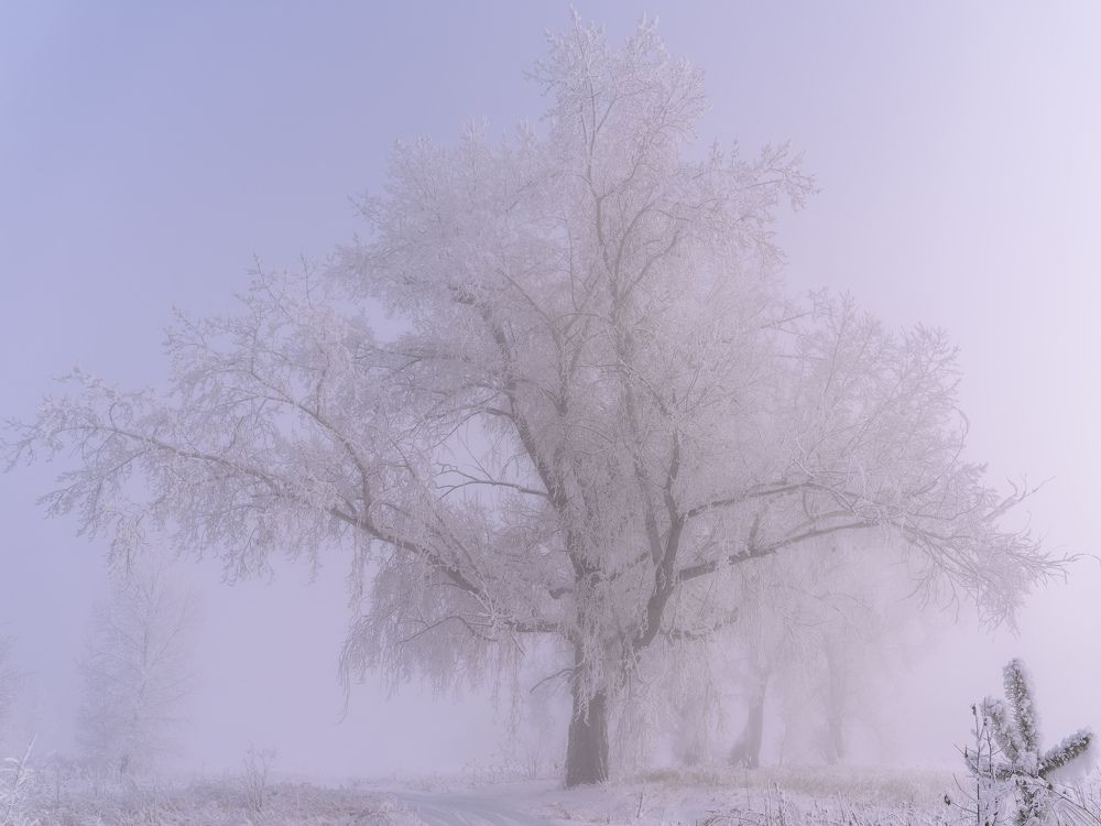 Photograph by Екатерина Дубровская