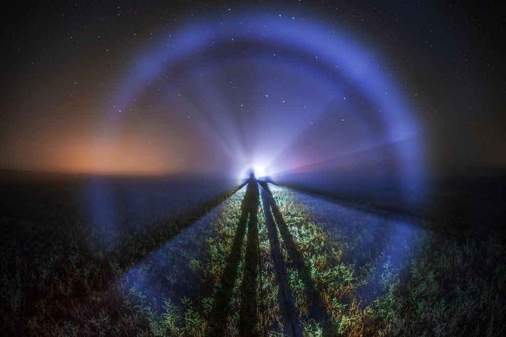 Photograph by Olga Semisotova