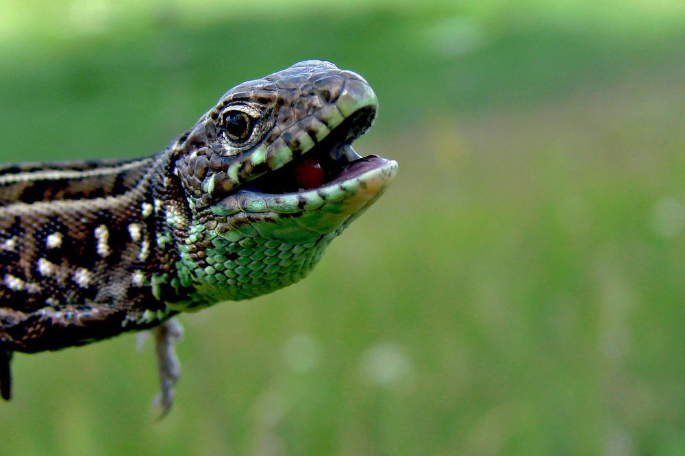 Photograph by Ксения Мироненко