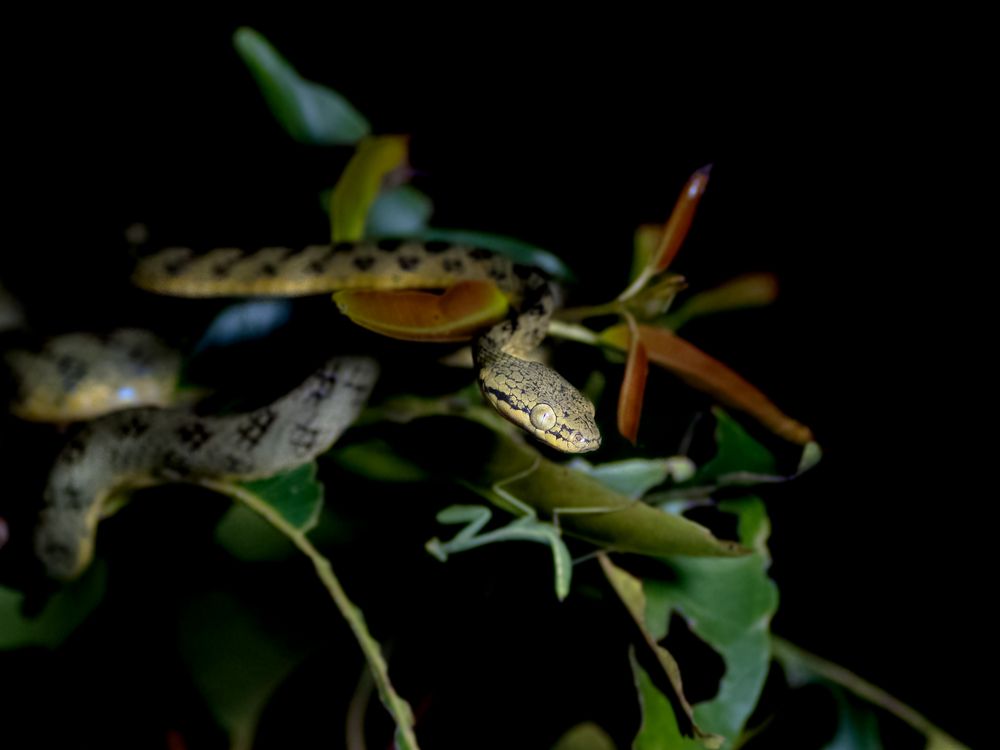 Photograph by GVN Santhosh