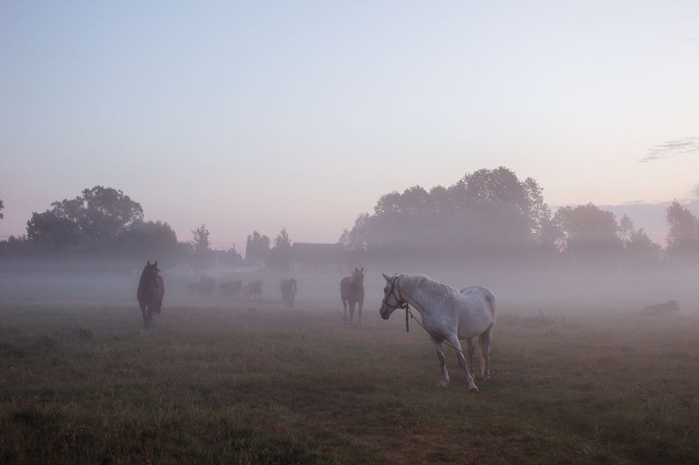 Photograph by Ольга Сергеенко