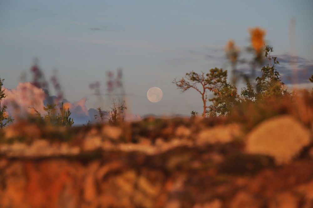 Восхождение луны